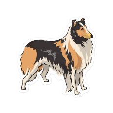 Collie