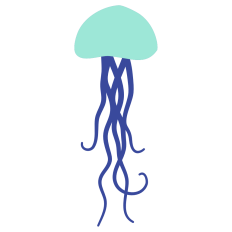 Jelly Fish