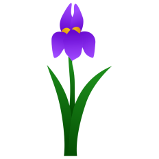 Iris Flower