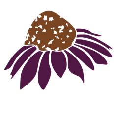 Cone Flower