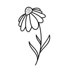 Whimsical Hand-Drawn Cone Flower - Botanical Wildflower Design for Silhouette Studio