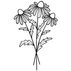 Coneflowers bouquet