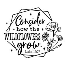 Consider how the wildflowers grow