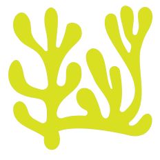 Coral Shape Cut File Design Inspired by Abstract Expressionism