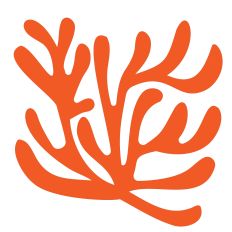 Coral Shape Cut File Design Inspired by Abstract Expressionism 