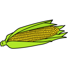 Corn