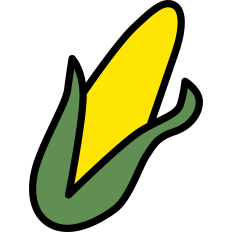 Corn