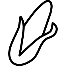 Corn Outline