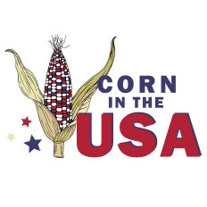 CORN IN THE USA PUN SVG COUNTRY PATRIOTIC 4TH JULY