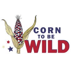 CORN TO BE WILD PUN SVG COUNTRY PATRIOTIC 4TH JULY
