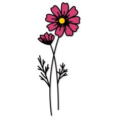 Cosmos Birth Flower