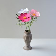 Paper Cosmos