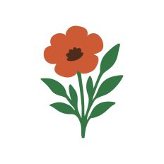 The Floral Collection - Cosmos