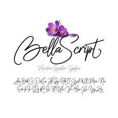 Bella Script