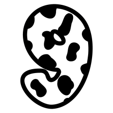 Cow Number Nine