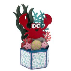 Crab Pop Up