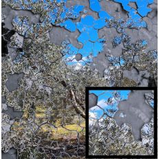 Crackled Olive Tree Pattern