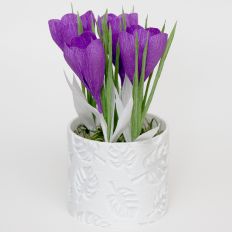 Crepe Paper Crocus