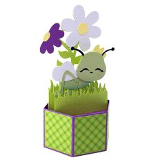Cricket Pop Up Card