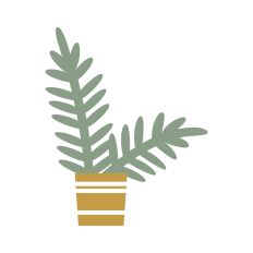 Potted Plant