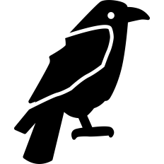 Crow Silhouette