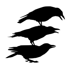 Crow Raven Halloween Birds