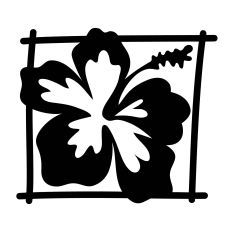 Framed Hibiscus