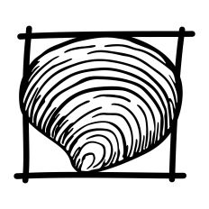 Framed Seashell