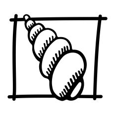 Framed Seashell