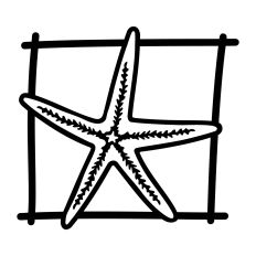 Framed Starfish