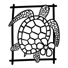 Framed Sea Turtle