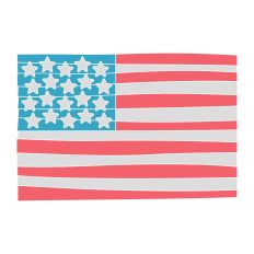 Patriotic Flag