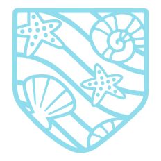 Seashells Pocket Design