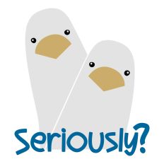 Seriously Seagulls