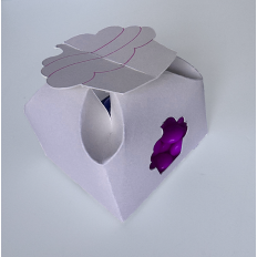 Baby Pram Petal Box
