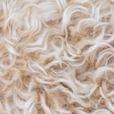 Curly Hair Fur Pattern Fillable Shapes Background