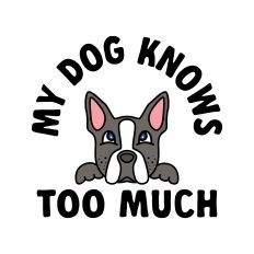 My Dog Knows Too Much Boston Terrier