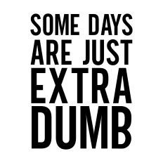 Some Days are Just Extra Dumb
