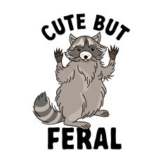 Cute But Feral Raccoon