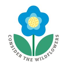  Consider The Wildflowers with flower