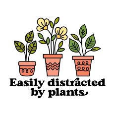 Easily Distracted By Plants with potted plants