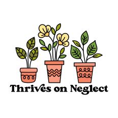 Thrives On Neglect with potted plants