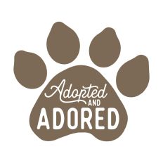 Adopted and Adored Pet