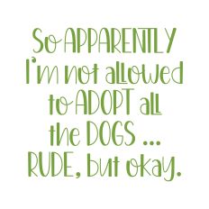 Apparently I'm not allowed to adopt all the dogs
