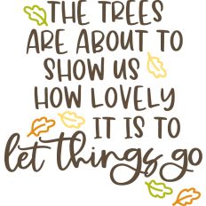 The Trees Are About to Show Us How Lovely It is to Let Things Go