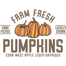 Farm Fresh Pumpkins Corn Maze Apple Cider Hayrides