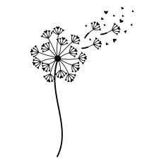 Dandelion Blowing In Wind