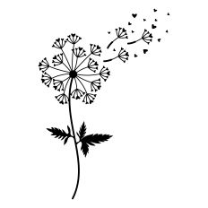 Dandelion with Heart leaves