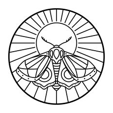 Luna Moth Outlined Art