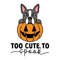 Too Cute to Spook Dog